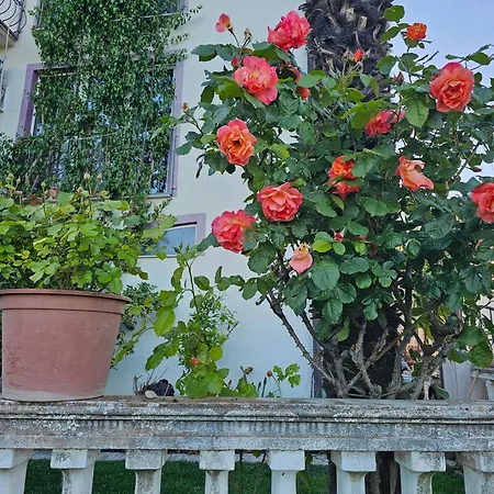 Kiki - Emerald River With Private Gardens كابليينا